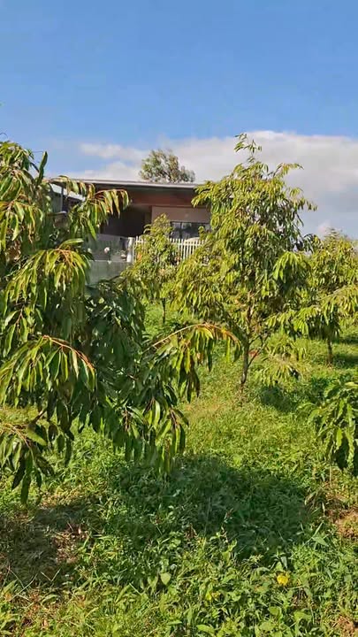 Đất mặt tiền kinh doanh Hòa Tiến 1900m² giá 5.5 tỷ - Cơ hội đầu tư hấp dẫn!