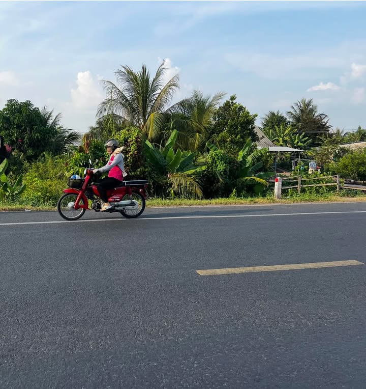 Đất nền 255m² tại Bình Thành, Thanh Bình - Giá chỉ 1.45 tỷ, kinh doanh thuận lợi!