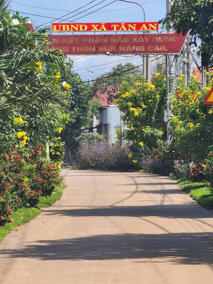 Đất thổ cư Vĩnh Cửu 557m² giá 4.8 tỷ - Sổ đỏ chính chủ, phù hợp làm biệt thự