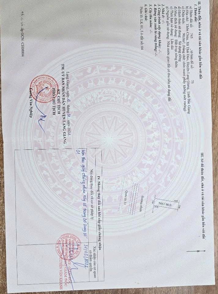 Đất nền kinh doanh mặt đường QL31 xã Thái Đào 90m² giá 5 tỷ - Cơ hội đầu tư vàng!