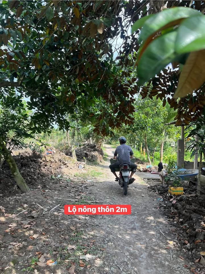 Đất nền 1000m² xã Đông Phước, Châu Thành - Giá chỉ 480 triệu - Đầu tư lý tưởng!