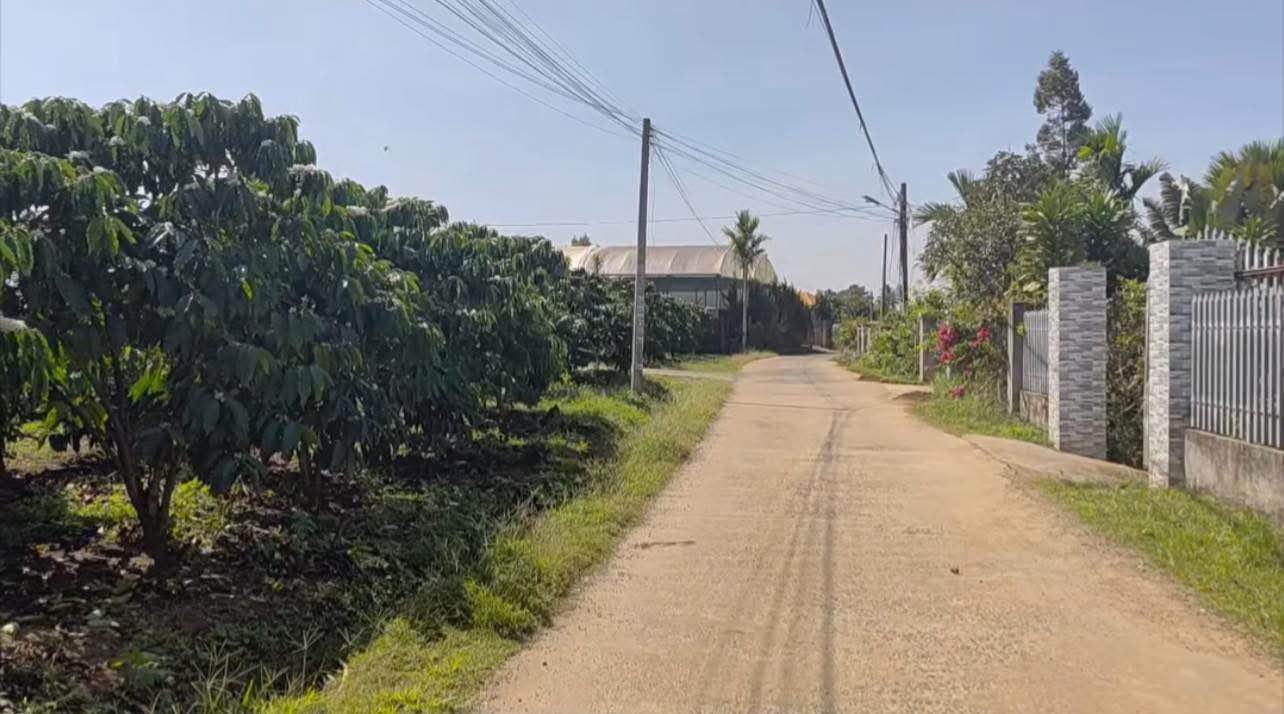 Đất thổ cư 200m² hẻm 221 Đoàn Thị Điểm, Bảo Lộc - Giá chỉ 160 triệu!