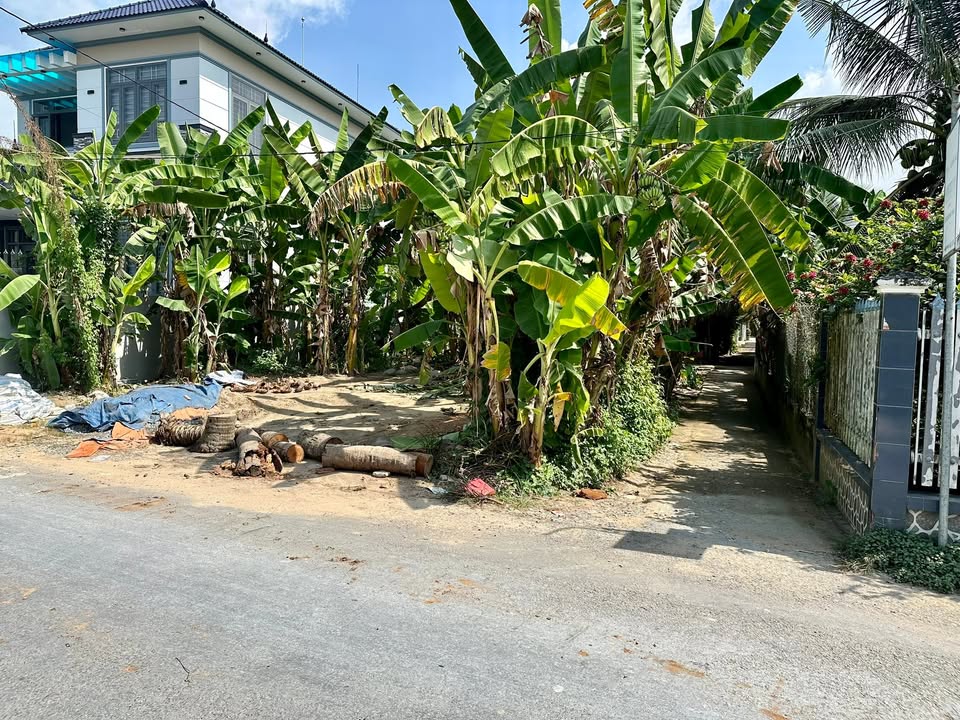 Đất mặt tiền ấp Tây, Nhị Bình, 266m² giá 300 triệu - Góc 3 mặt tiền, cơ hội đầu tư!