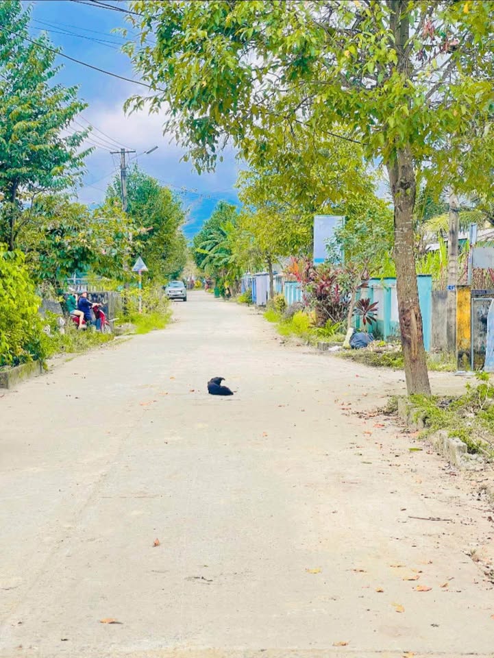 Đất mặt tiền Đông Phú 1, Hoà Khương, Đà Nẵng 149m² giá 1.18 tỷ - Liền kề khu biệt thự cao cấp!