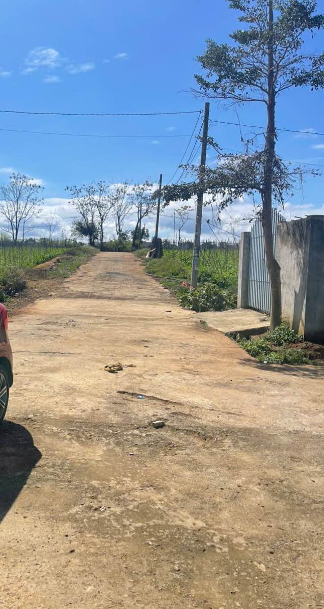 Đất nền Liên Hiệp - Đức Trọng 208m² giá 1.65 tỷ - Cơ hội đầu tư hấp dẫn!