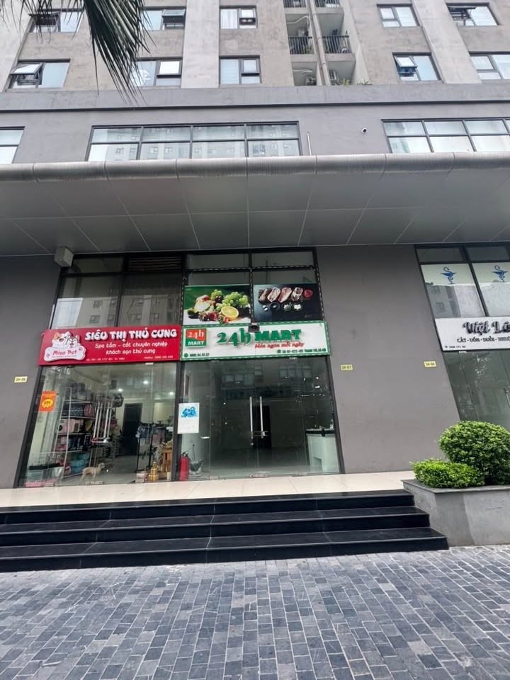 Shophouse IEC Tứ Hiệp 40m² giá chỉ 2 tỷ - Cơ hội đầu tư sinh lời!