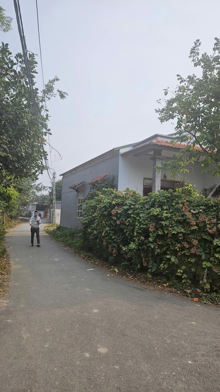 Đất nền Gia Khánh 247m² giá chỉ 1.9 tỷ - Cơ hội đầu tư tuyệt vời!