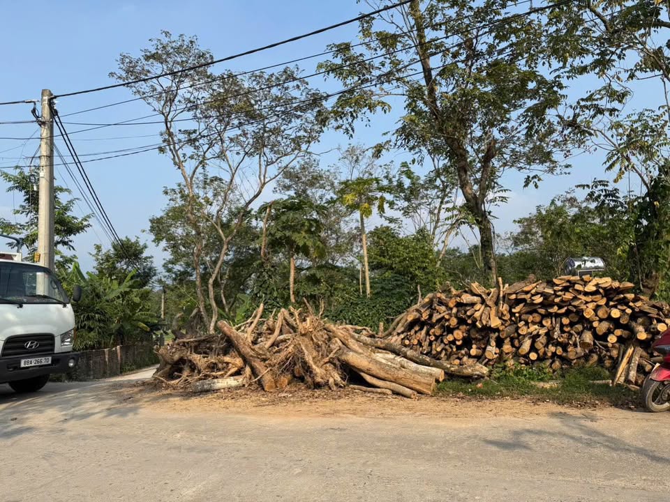 Đất nền Tam Quan, Tam Đảo 100m² giá 900 triệu - Lô góc hai mặt tiền kinh doanh!