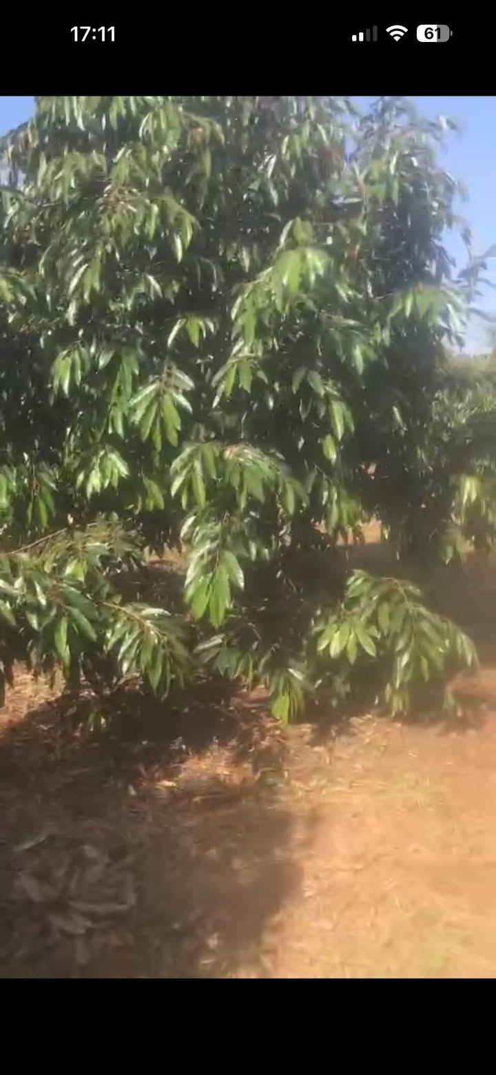 Đất nền Tân An, Buôn Ma Thuột 3059m² giá 2.79 tỷ - Cơ hội đầu tư tuyệt vời!