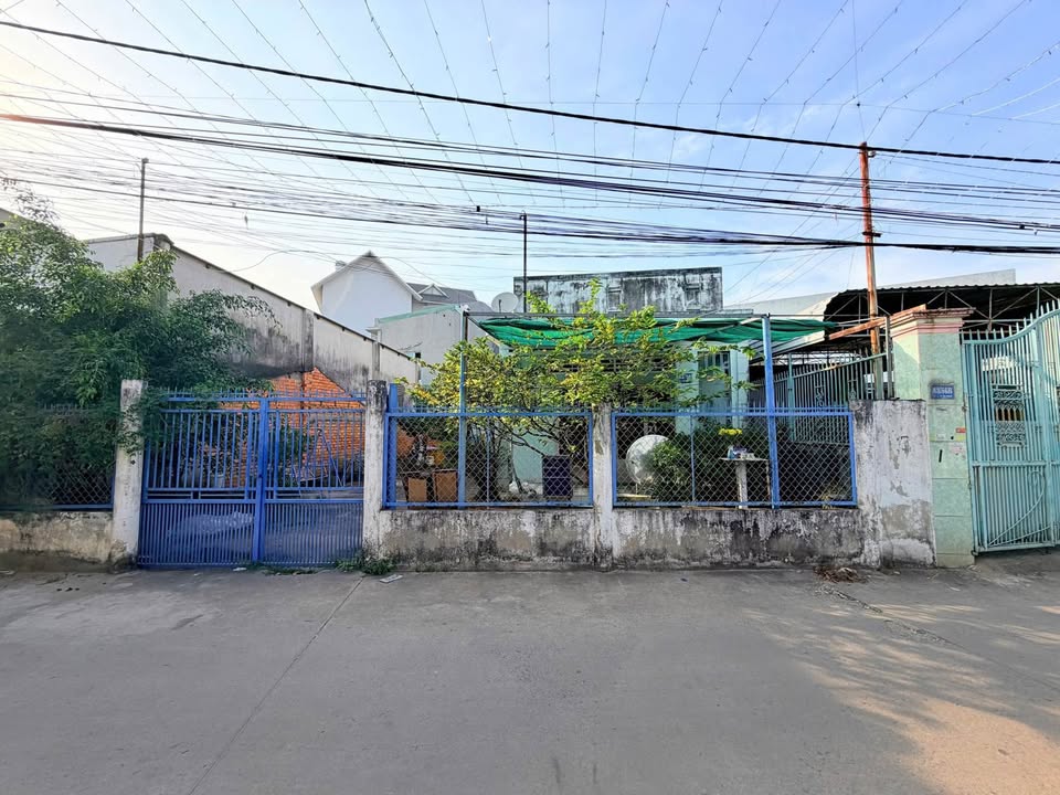 Lô đất Tân Phong, Biên Hòa 62m² giá 2.95 tỷ - Sổ hồng riêng, vị trí đẹp!