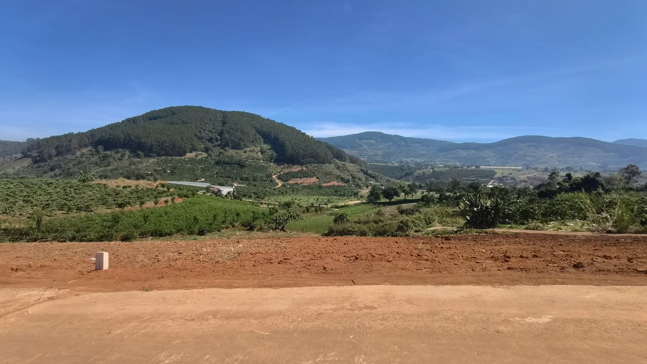 Đất nền Cam Ly Đà Lạt 800m² giá 1.55 tỷ - Đầu tư sinh lời ngay!