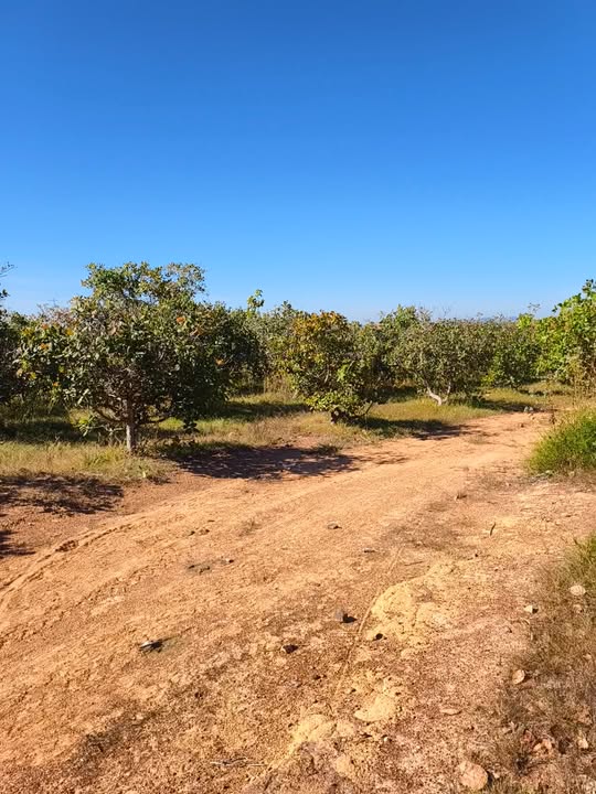 Đất nền 3ha2 tại xã Ia Ga, huyện Chư Prông - Giá 700 triệu, thương lượng tốt!