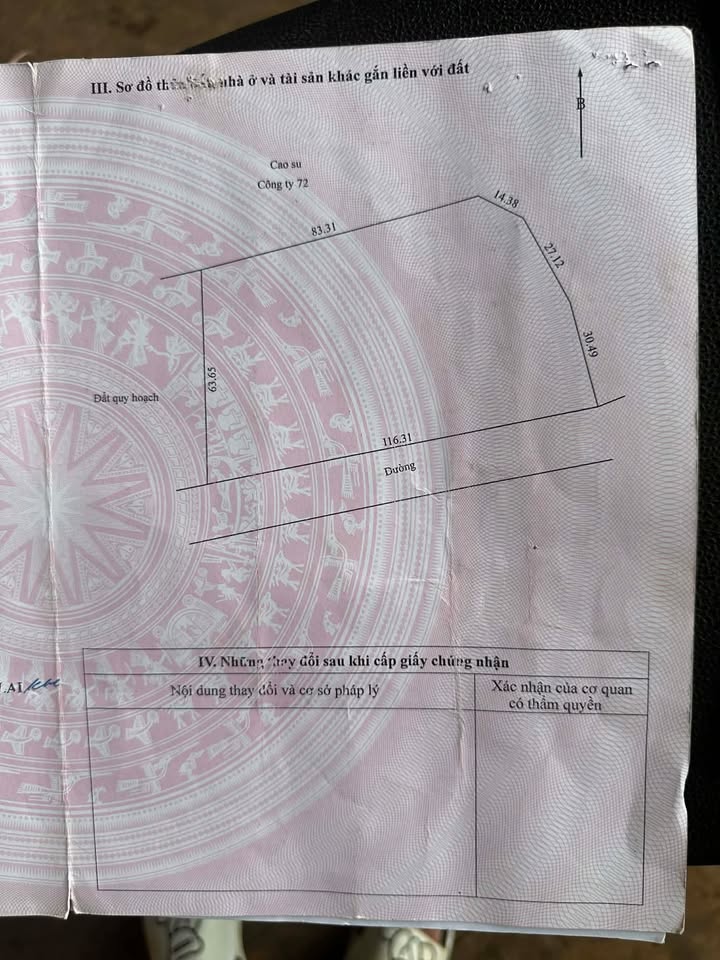 Bán vườn điều Gia Lai 7376m² giá chỉ 50 triệu/m - Cơ hội đầu tư sinh lời!