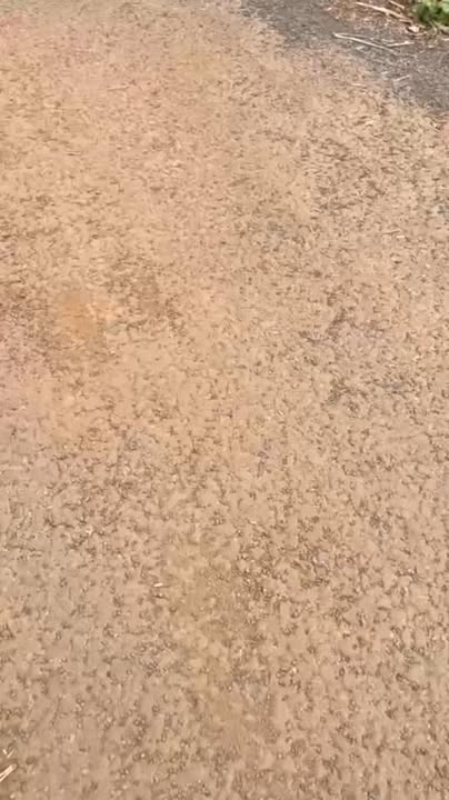 Đất tại trung tâm hành chính xã Ia Grai 414m² giá thỏa thuận - Đầu tư sinh lời hấp dẫn!