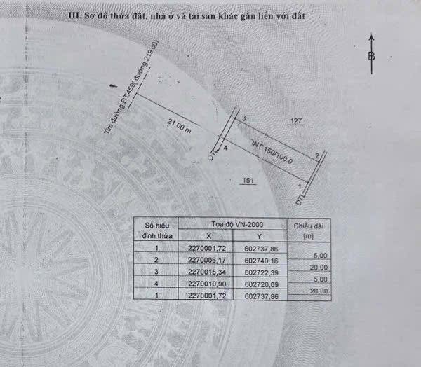 Đất nền Dương Hồng Thủy Thái Thụy 100m² giá 3 tỷ - Kinh doanh sầm uất!