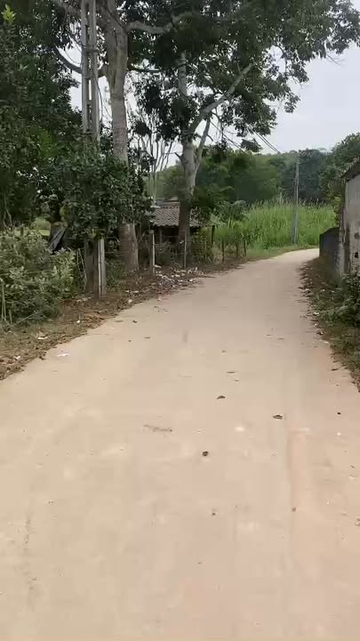 Đất nền Tân Thành, Phú Bình 2000m² giá 2 tỷ - View hồ cực đẹp!