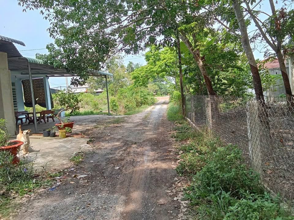 Đất nền Lộc Hòa, Trảng Bàng 280m² giá 620 triệu - Nở hậu tài lộc!