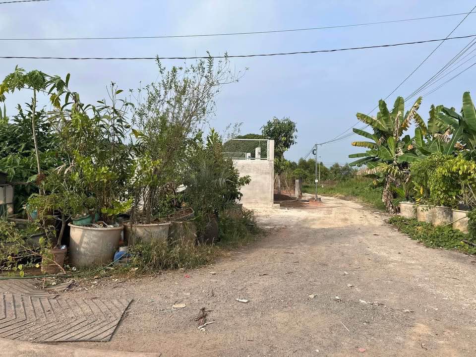 Đất nền Tam Phước Long Điền 110m² giá chỉ 600 triệu - Đầu tư sinh lời ngay!