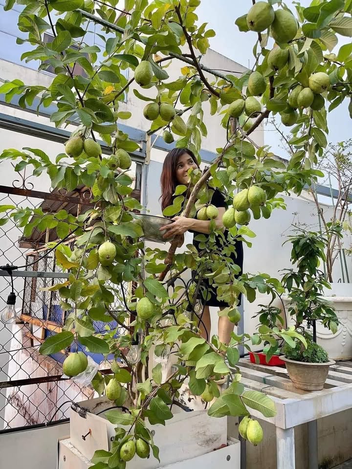 Đất thổ cư 167m² ấp 5, xã Xuân Tâm, huyện Xuân Lộc - Giá rẻ chỉ 560 triệu!