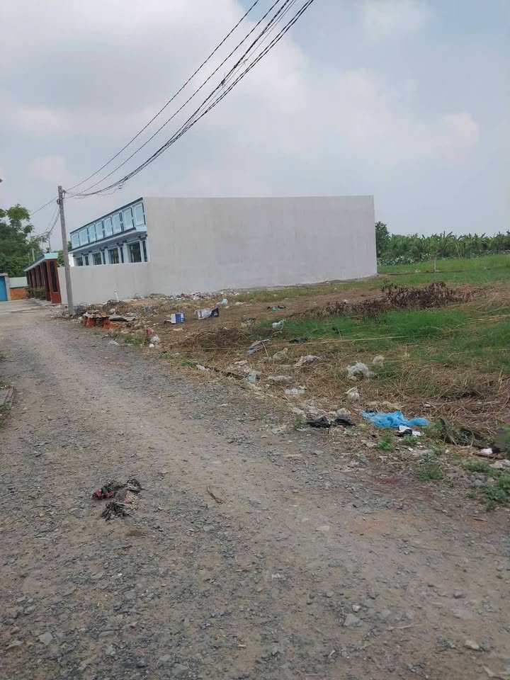 Đất thổ cư Mỹ Lộc, Cần Giuộc 125m² giá 870 triệu - Cơ hội đầu tư tuyệt vời!