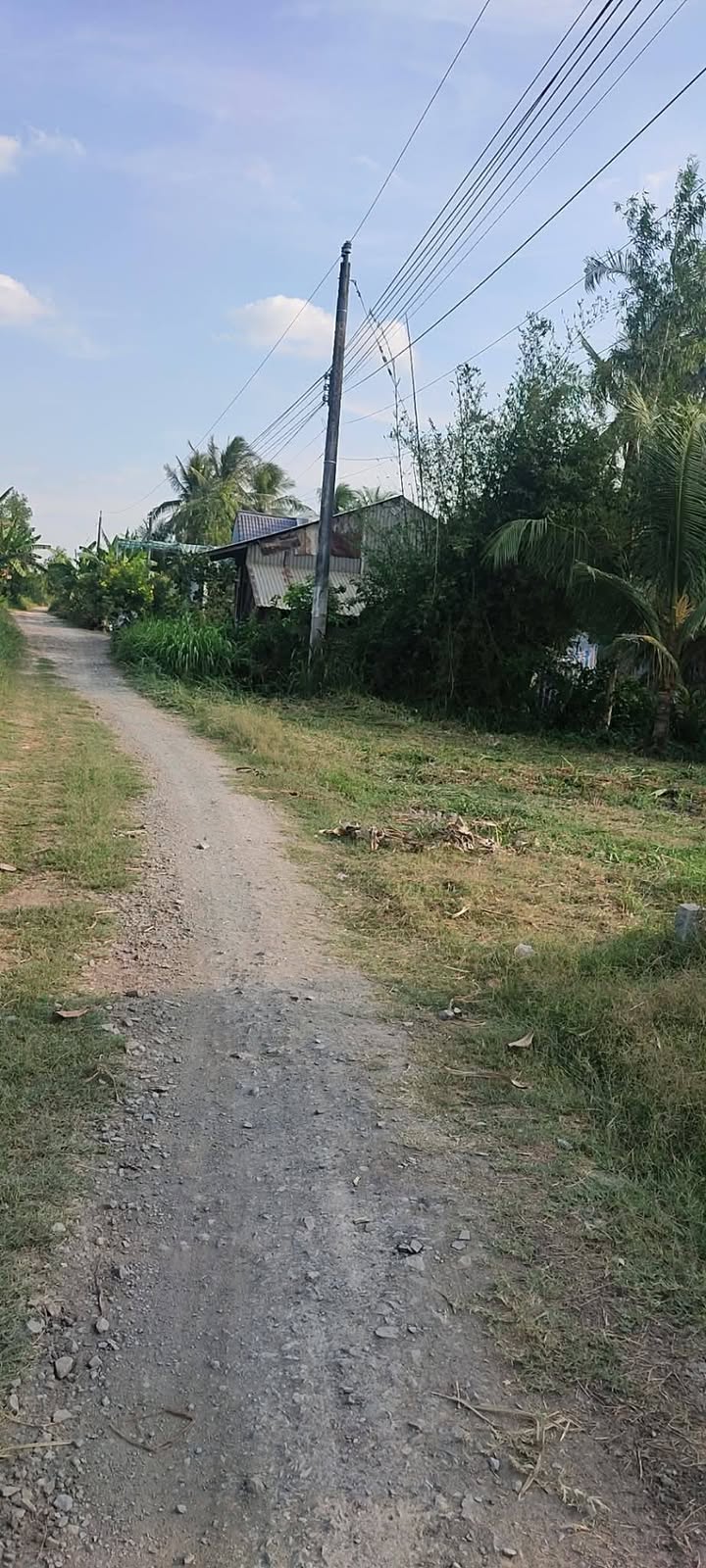 Đất mặt tiền bờ kênh Càng Long 4000m² giá 1.52 tỷ - Cơ hội đầu tư tuyệt vời!