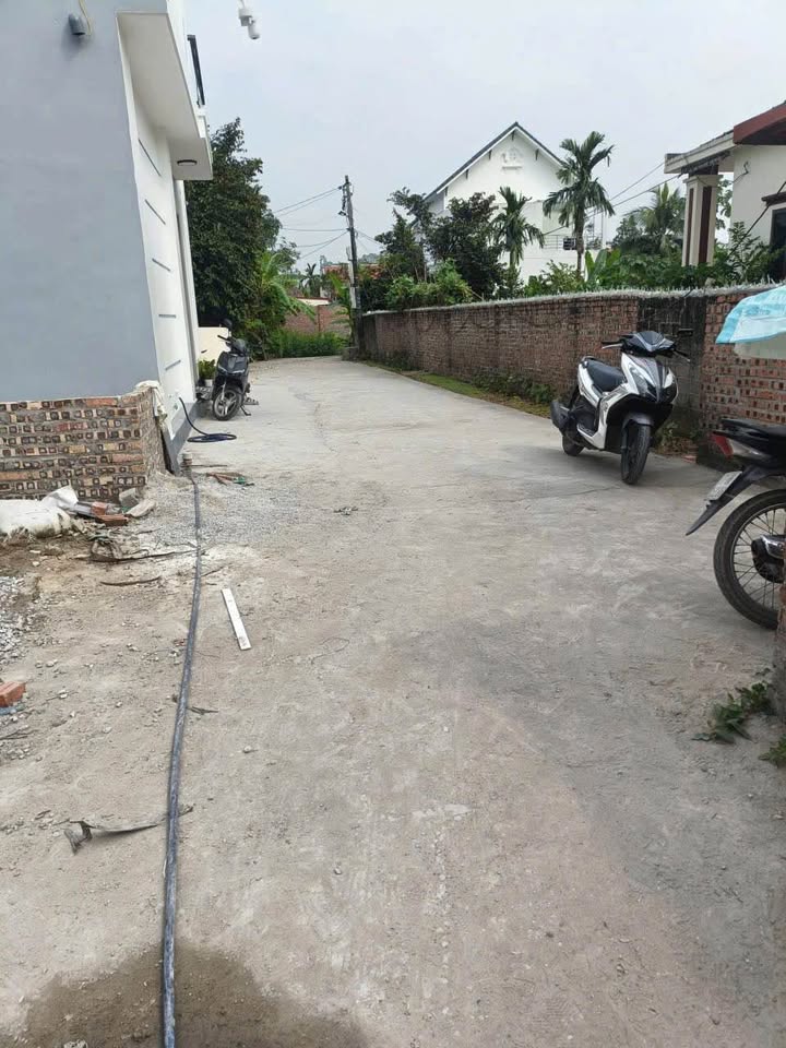 Đất liền kề Hồng Thái, An Dương 50m² giá 1xx triệu - Đầu tư kinh doanh sinh lời!