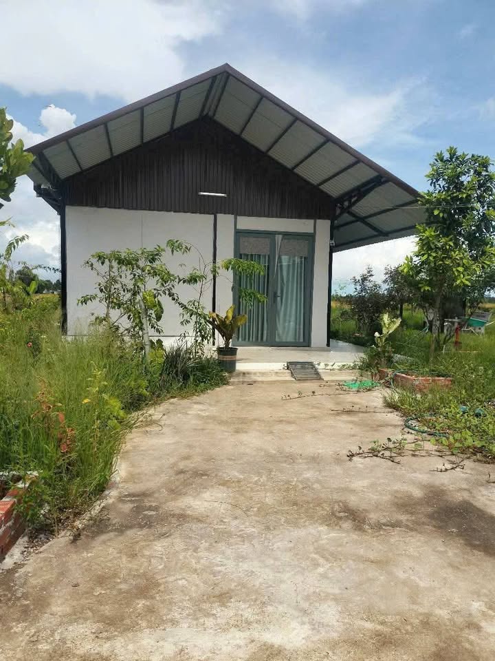 Nhà vườn 1.000m² tại ấp Sóc Cung, Rạch Giá - Giá chỉ 950 triệu!