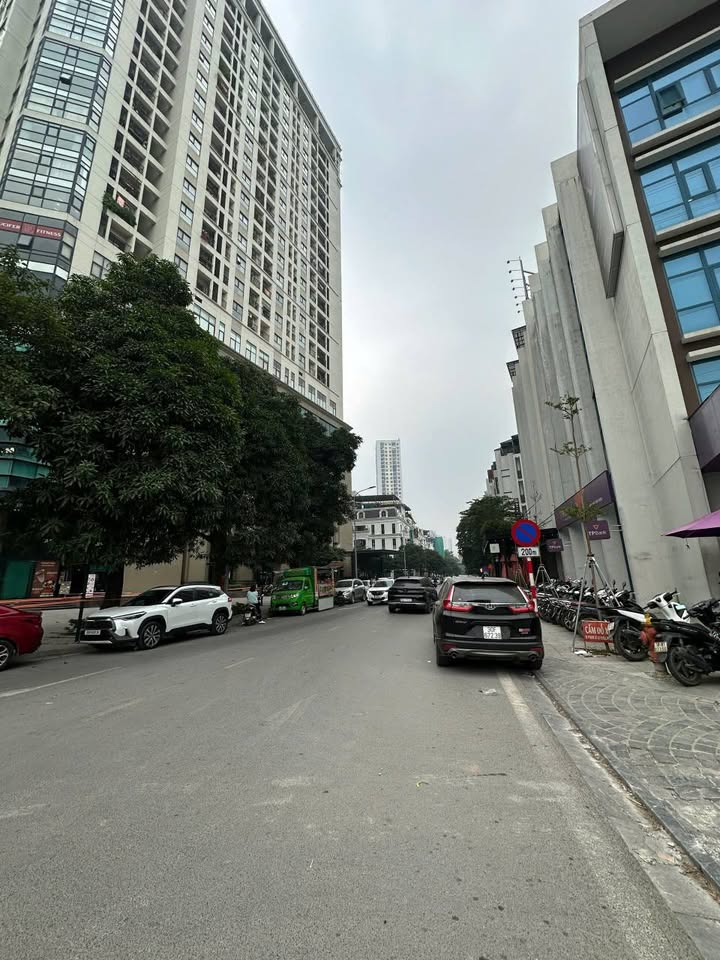 Biệt thự song lập Roman Plaza Hà Đông 197m² giá 50 tỷ - Đầu tư sinh lời cao!