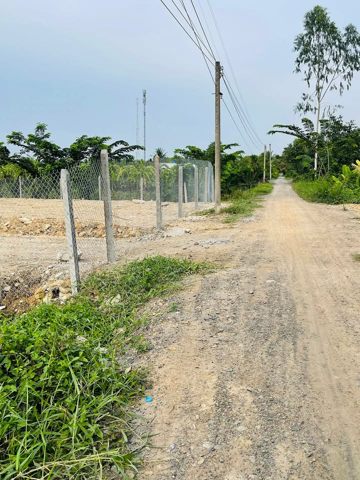 Đất nền 1000m² tại xã Tân Hoà, Bến Lức, Long An - Sổ đỏ chính chủ, giá thỏa thuận