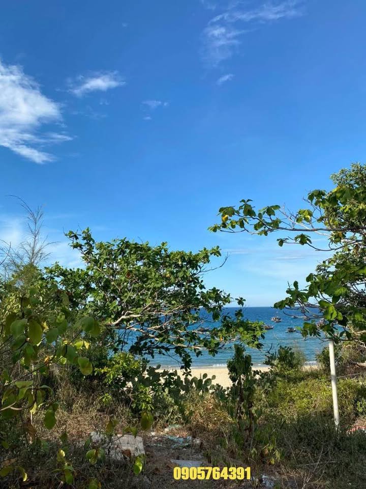 Đất nền mặt biển Nam Hội An 900m² - Cơ hội đầu tư hấp dẫn!