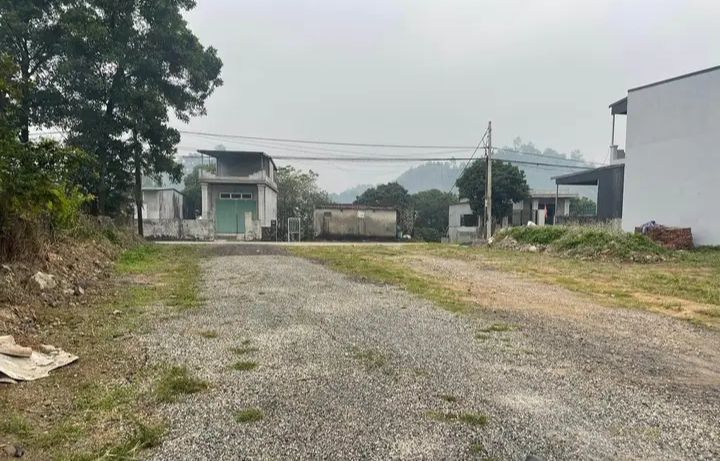 Đất thổ cư Đồi Cao, Yên Bình, Tam Điệp 155m² giá 1.4 tỷ - Cơ hội đầu tư hấp dẫn!