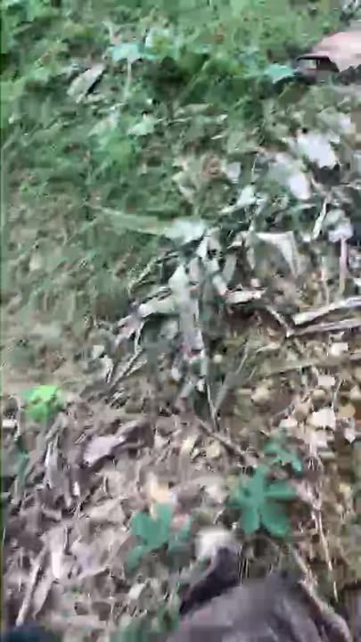 Đất nền đẹp Tam Điệp Ninh Bình 151m² - Đầu tư sinh lời ngay!