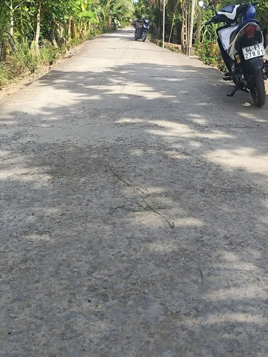 Đất nền Ngãi Tứ, Tam Bình 120m² chỉ 219 triệu - Đường ô tô vào tận nơi!