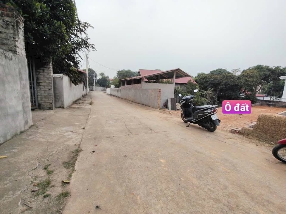 Đất nền đẹp Thanh Vân Tam Dương 130m² giá 1.1 tỷ - Vị trí đắc địa giao thông thuận lợi