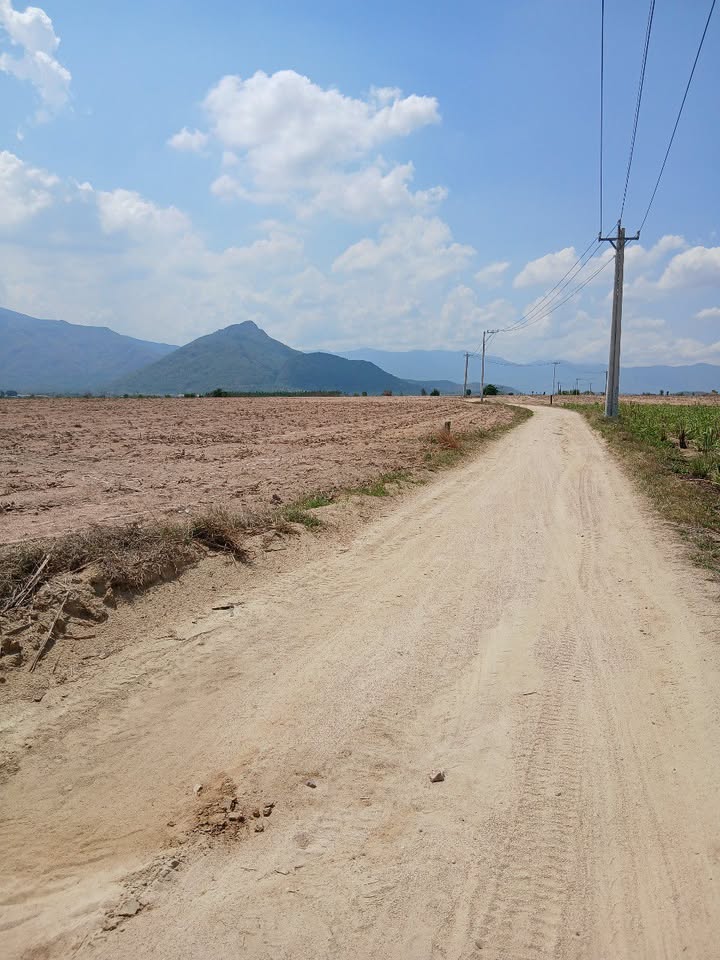 Đất nền Ninh Sơn, Ninh Hòa 1000m² giá chỉ 108 triệu - Cơ hội đầu tư hấp dẫn!