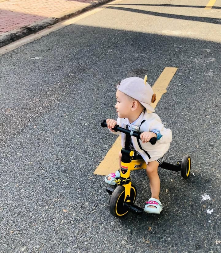 Đất thổ cư Hòa Long Bà Rịa 500m² - Gần chợ, trường học, xây biệt thự đẹp!