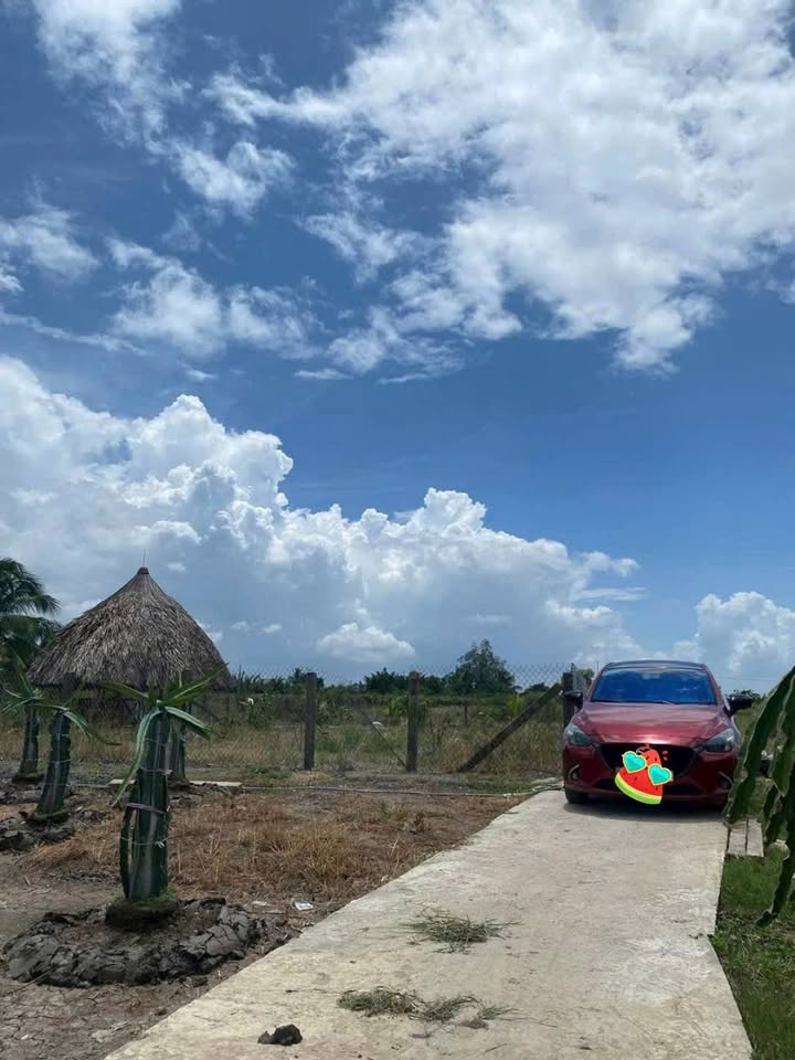 Đất vườn 500m² tại xã Thuận Mỹ, Châu Thành - Giá 550 triệu, chính chủ bán gấp!