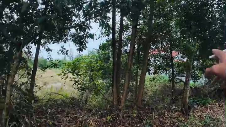 Đất nền mặt tiền Đường Lê Quý Đôn, Hương An, 156m² giá 800 triệu - Cơ hội đầu tư tuyệt vời!