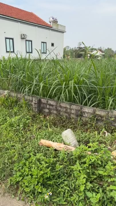 Đất nền xóm 4 Nam Nghĩa 300m² giá 1 tỷ - Đất vàng đầu tư sinh lợi!