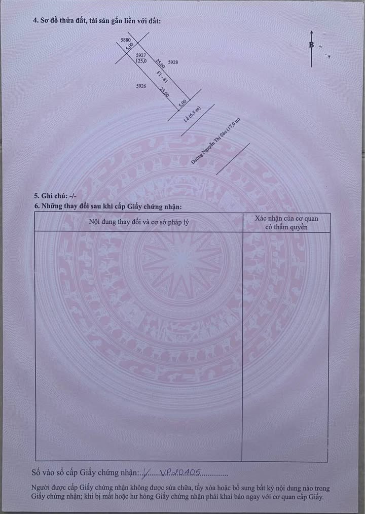 Đất nền F1 - 81 Nguyễn Thị Sáu, KDC 586, 125m² - Sổ hồng thổ cư 100%!