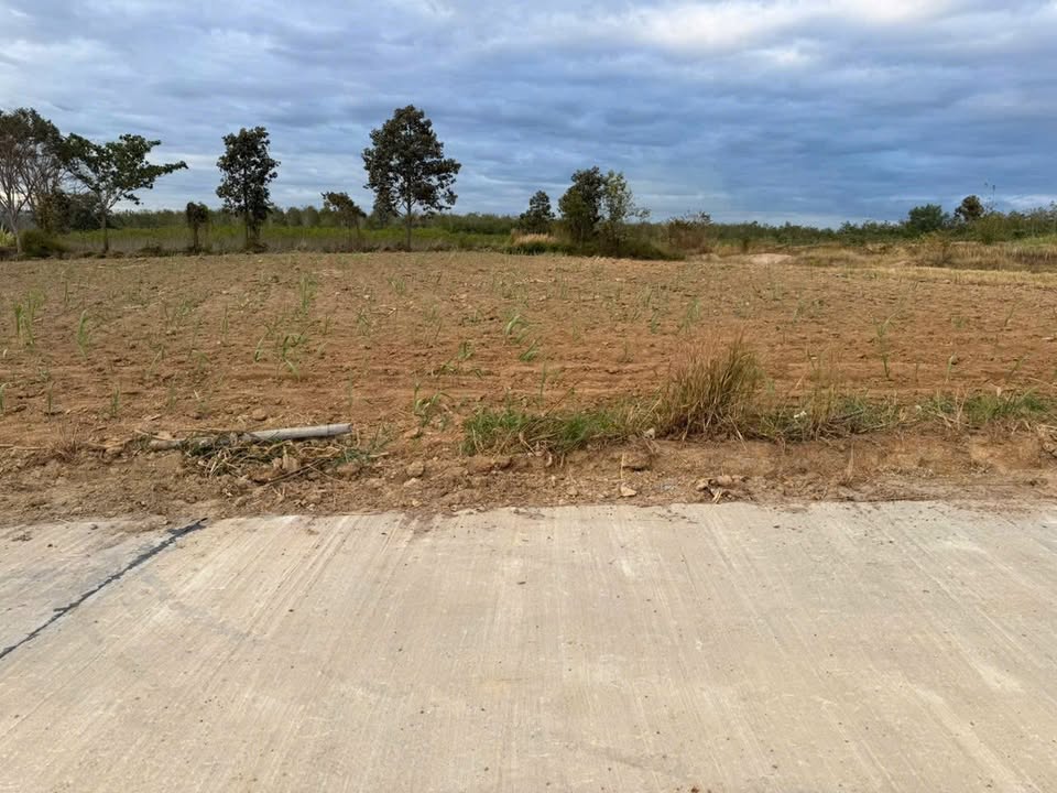 Đất nông nghiệp 5 sào tại Đăk Kia, Kon Tum - Giá tốt, pháp lý rõ ràng!