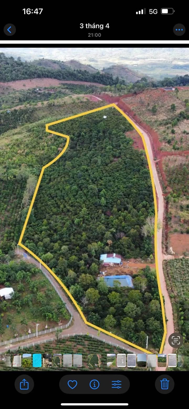 Đất nền Lộc Bảo, Bảo Lâm 20000m² giá 8.5 tỷ - Sổ đỏ chính chủ, bớt lộc cho khách thiện chí!