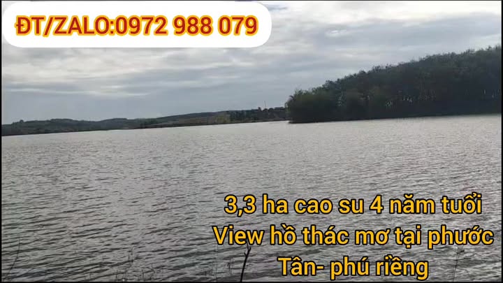 Bán vườn cao su Phước Tân, Phú Riềng 3,3 mẫu - Giá chỉ 3,3 tỷ!