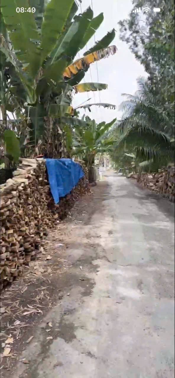 Đất nền 15 công Phường Bình Đức, Long Xuyên, An Giang - Mặt tiền đường nhựa, giá tốt!