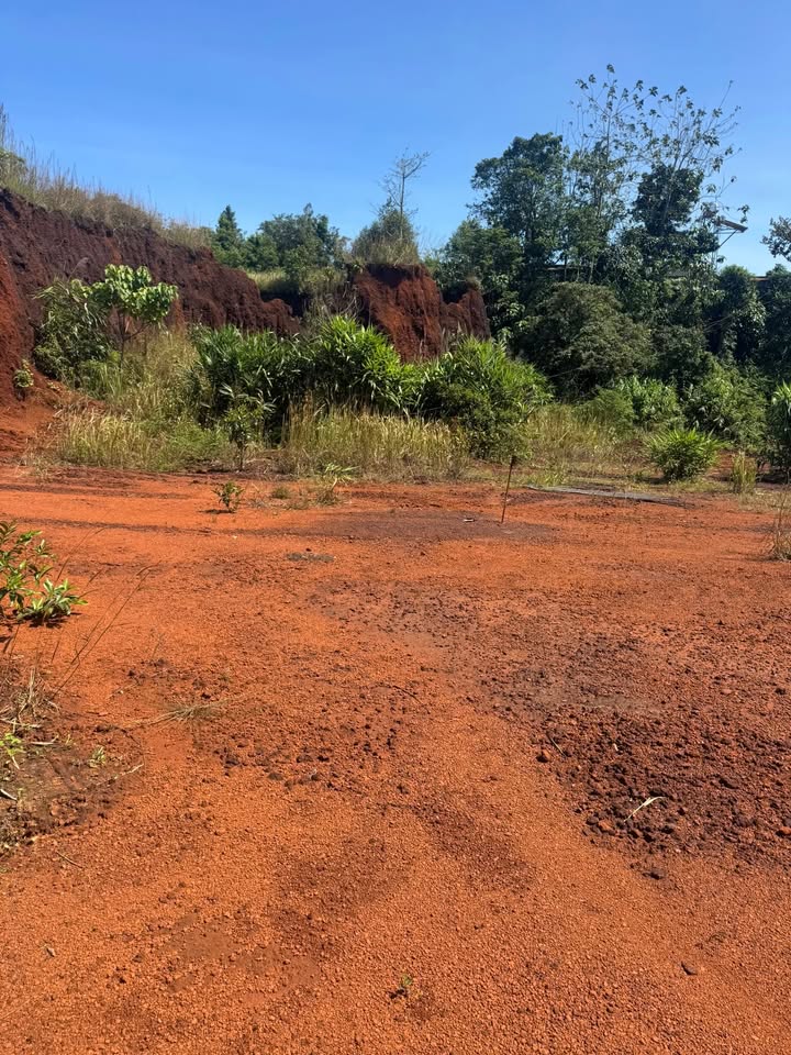 Đất thổ cư 700m² tại Trường Xuân, Đắk Nông giá 1.2 tỷ - Cơ hội đầu tư hấp dẫn!