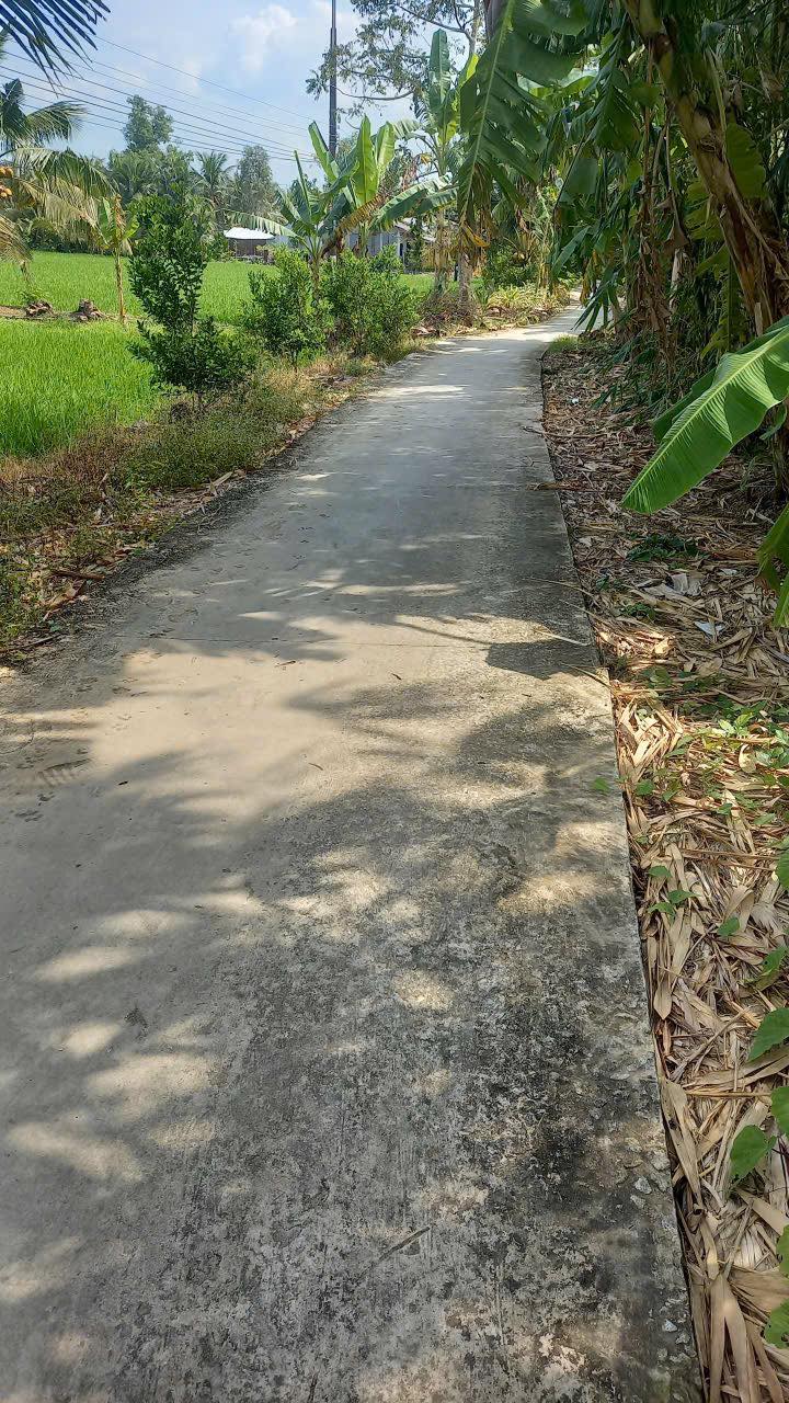 Đất mặt tiền ấp Đông Thắng, Thới Lai 4550m² giá 1 tỷ - Cơ hội đầu tư tuyệt vời!