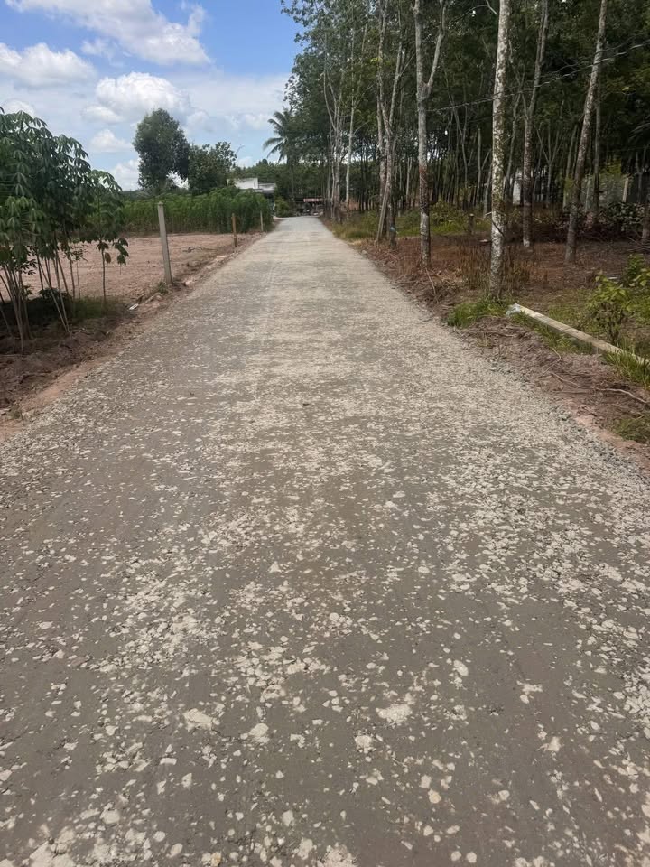 Đất nền Cầu Khởi, Dương Minh Châu 140m² giá 200 triệu - Sổ hồng chính chủ, đầu tư ngay!