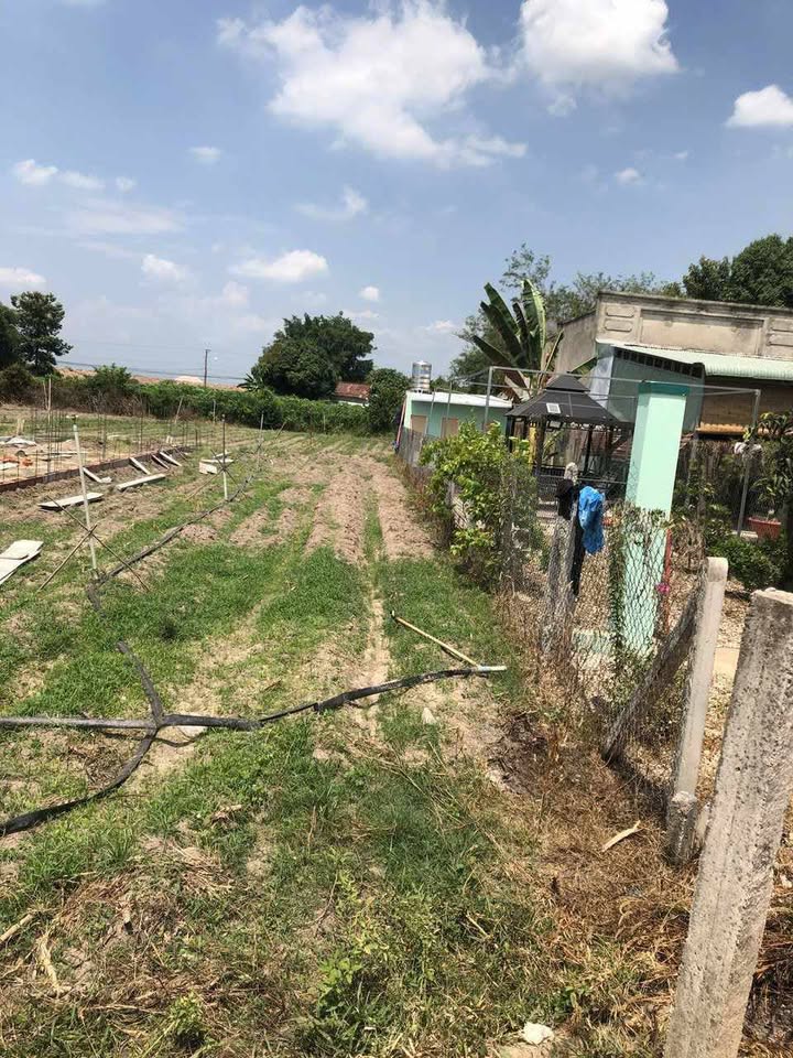 Đất thổ cư Suối Đá, Dương Minh Châu 155m² giá 395 triệu - Cơ hội đầu tư vàng!