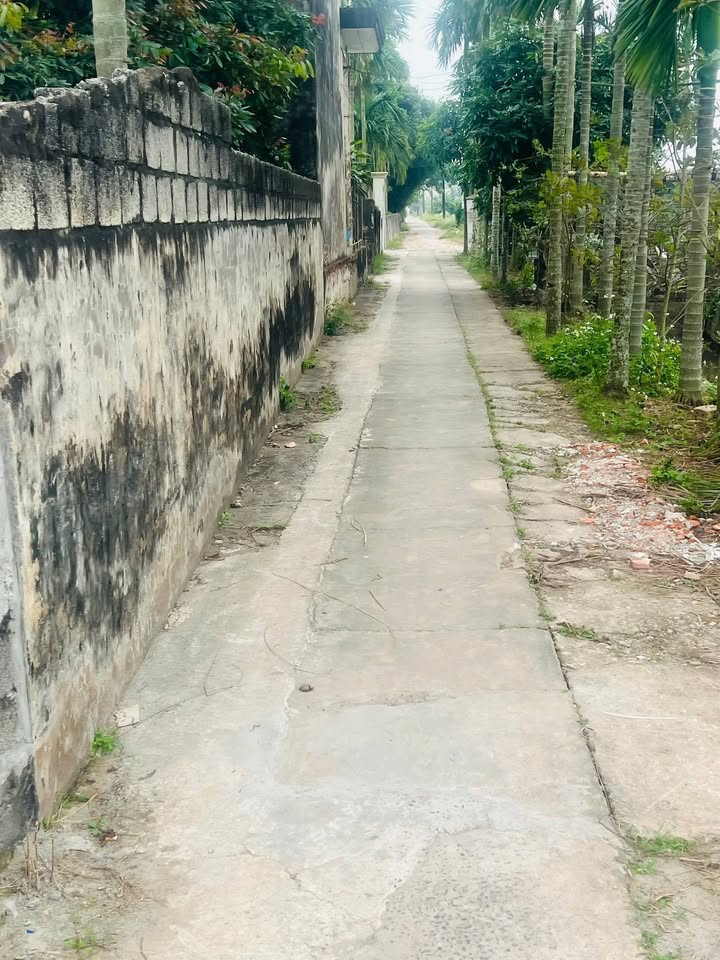 Đất nền Nghĩa Hải, Nam Định 210m² giá 595 triệu - Cơ hội đầu tư hấp dẫn!