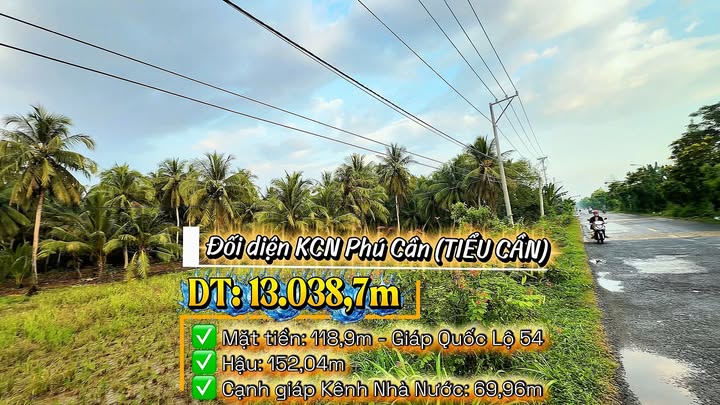 Đất Farm 13039m² Mặt Tiền Quốc Lộ 54 – Đối Diện KCN Phú Cần - Cơ Hội Đầu Tư Tiềm Năng!